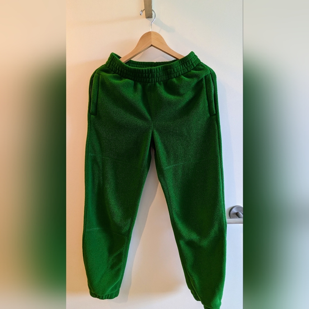 Aritzia TNA Polar Jogger
